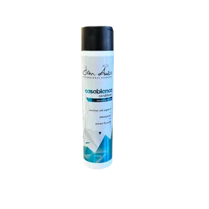 CASABLANCA CONDITIONER