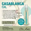 JA PRODUCT OF THE WEEK!  5/5 - 5/11/25 - CASABLANCA OIL - 50% off retail price **Limit 1 per customer** Valid only with additional purchase of $30 or more!